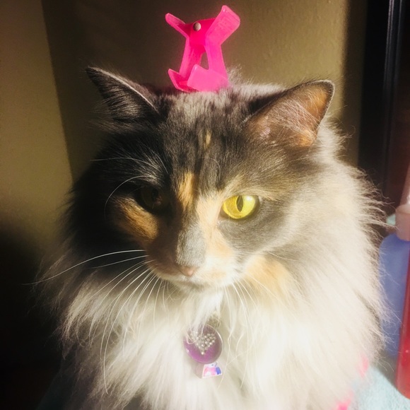 Meet your Posher, Kim - Picture 14 of 16